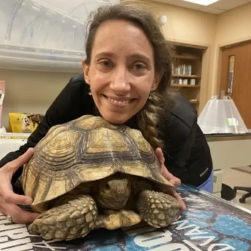 Veterinarian smiling with a turtle